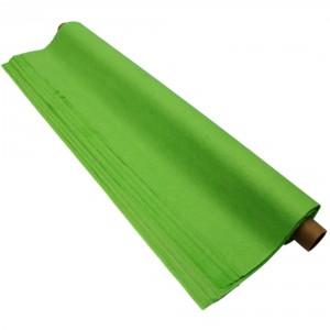 Tissue Paper, 50 x 76cm, Roll of 48 Sheets, Apple Green