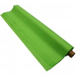 Tissue Paper, 50 x 76cm, Roll of 48 Sheets, Apple Greenabc